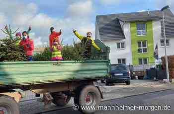 „Jugendliche aus Rosengarten zeigen, was sie können“ - Lampertheim - Nachrichten und Informationen - Mannheimer Morgen