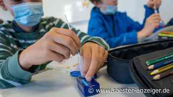 Schulstart im Kreis Soest: Wenige positive Corona-Tests - soester-anzeiger.de