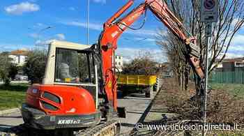 Ripartiti a Fucecchio i lavori per la manutenzione del verde - IlCuoioInDiretta - IlCuoioInDiretta