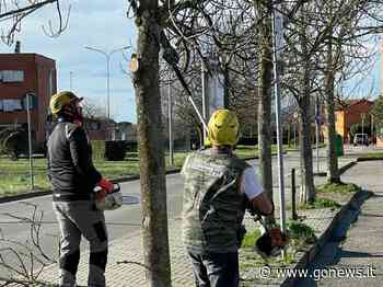 Taglio del verde, lavori in via Sanminiatese a Fucecchio. Spinelli: "Impegno continuo" - gonews