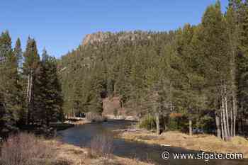 Remains of missing NorCal man discovered by hiker in Tahoe National Forest - SFGate