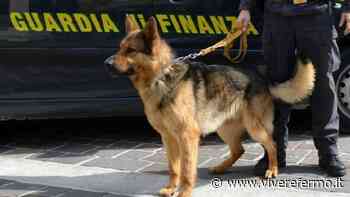 Fermo: beccati quattro ventenni in possesso di stupefacenti - Vivere Fermo