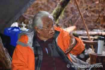 On the front lines to save an old-growth forest in B.C. - Toronto Star