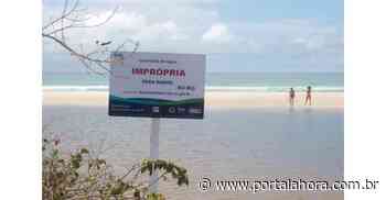 Balneabilidade: Garopaba e Laguna têm três pontos impróprios para banho; Imbituba e Jaguaruna estão com 100% de suas praias e lagoas limpas - Portal AHora