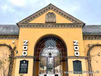 Heidelberg: Vogelgrippe Ausbruch im Zoo - Regenbogen