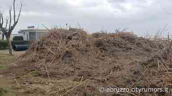 Alba Adriatica, partono i lavori di rimozione dello spiaggiato - Cronaca Teramo - Abruzzo Cityrumors