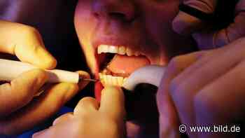 Impfpflicht: Jeder zweite Zahnarzt in Sachsen rechnet mit Kündigungen - BILD