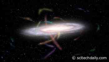 12 Stellar Streams Within Our Galactic Halo: The Milky Way’s Feeding Habits Shine a Light on Dark Matter