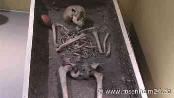 Das Rosenheimer Skelett-Puzzle: Welches Geheimnis die musealen Knochen verbergen