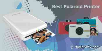 Top 10 Best Polaroid Printer Reviews
