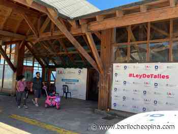 Ley de Talles: Realizan estudios antropométricos voluntarios en el Puerto San Carlos - Bariloche Opina