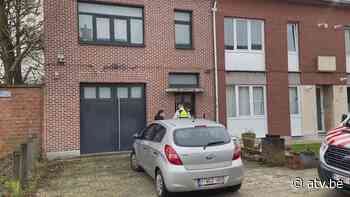 Cannabisplantage ontdekt in 'gewone' rijwoning in Boechout - ATV