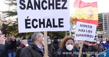 Sánchez, no lo eches - Libertad Digital