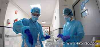 Sagardui pide «prudencia» a Sánchez a la hora de equiparar el tratamiento de la covid con el de la gripe - El Correo