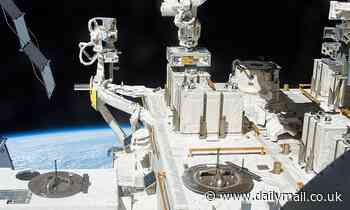 Bacteria may have transferred life to distant worlds after being blown into space, study claims