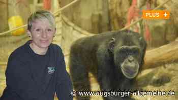 Vier Tierpfleger erzählen, was die Arbeit im Augsburger Zoo für sie so besonders macht