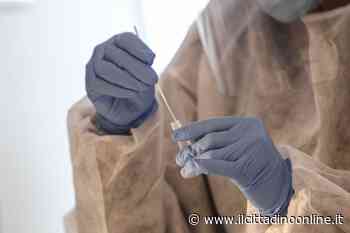 Test Covid in farmacia: le strutture convenzionate in provincia di Siena - Il Cittadino on line