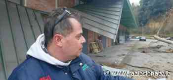 Siena, albero crolla sul magazzino, un lavoratore: “Avevamo segnalato al Comune il rischio” - RadioSienaTv