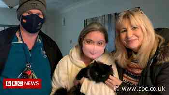 Gloucester Services cat reunited with owners after seven months - BBC News