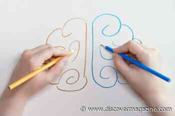 What the Two Halves of Your Brain (Don’t) Say About You