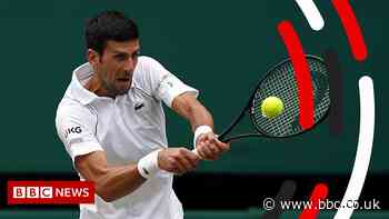 Novak Djokovic’s visa victory, explained