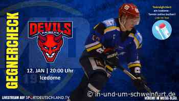 Die Mighty Dogs wollen gegen Neu-Ulm den Erfolg aus dem Hinspiel wiederholen - Lokale Nachrichten aus Stadt und Landkreis Schweinfurt - inUNDumSCHWEINFURT_DE