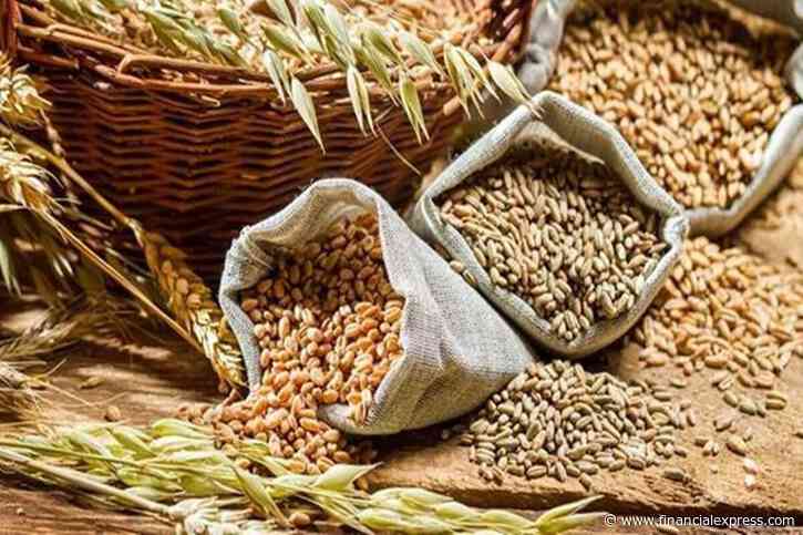 Nearly 20 lakh tonnes of free foodgrains distributed so far under fifth phase of PMGKAY: Govt