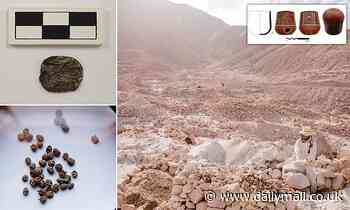 Beer and drugs helped a South American empire rule, study finds