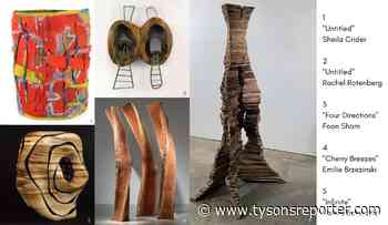 McLean Project for the Arts to start new year with virtual artists talk - Tysons Reporter