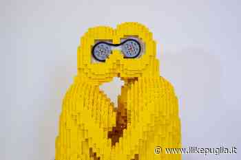 Bari, mostra 'A brick for Nick' nel museo Civico: vince l'opera simbolo di condivisione e dialogo - Ilikepuglia