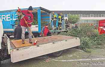 1550 Christbäume eingesammelt - Traunstein - Passauer Neue Presse