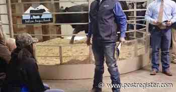 Breeding innovation on display at Nelson Angus Ranch’s spring sale - Post Register