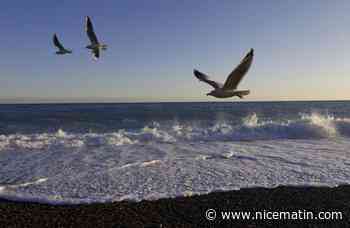 Nice et Toulon parmi les villes les moins stressantes de France