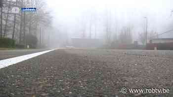 Asfalt maakt plaats voor groen in Lubbeek: "Goede zaak voor milieu" - ROB-tv