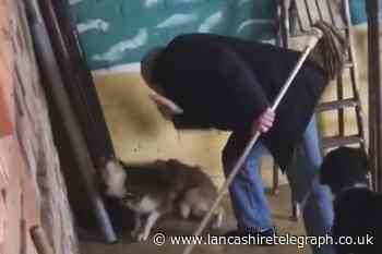 Father and daughter banned from having animal licence for 10 years as Mucky Pups pair sentenced