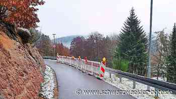 Hangrutsch und großer Baum: "Unter den Felsen" in Bad Herrenalb –  Anwohner schreibt Hilferuf