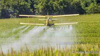 Pestizid-Rekord – „11.000 Menschen sterben daran“