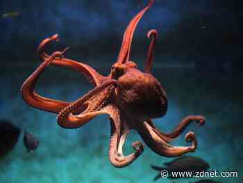 Best online biology degrees 2022: Top picks