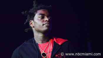 Rapper Kodak Black Seen at Florida Panthers Game with Twerking Woman