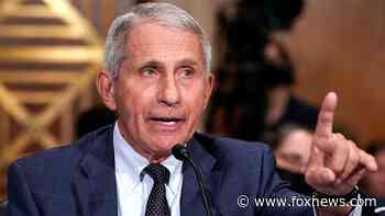'Special Report' All-Star Panel on Fauci Senate hearing, border crisis, Olympics