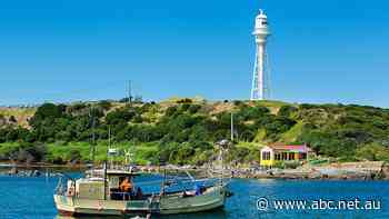 Tasmania's reopening was meant to be good news for businesses. Instead, they're navigating a trading slump