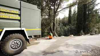 Enna, lavori affidati senza gara d'appalto: assolto l'ex dirigente della Forestale Caruso - Giornale di Sicilia