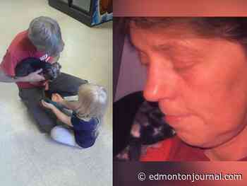 Rejecting 'outdated thinking,' Alberta court halves Helen Naslund's 18-year sentence for killing abusive husband