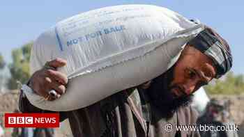Afghanistan crisis: Taliban expands 'food for work' programme