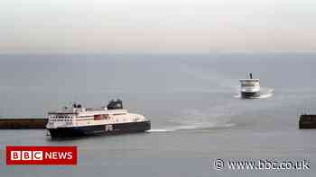 DFDS ferry boss warns of 20 mile queues at Dover if checks do not ease