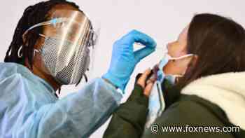 Spanish PM urges European leaders to treat COVID-19 as an 'endemic' illness, track it like the flu