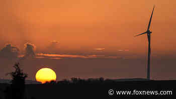 Germany faces 'gigantic task' in achieving climate change goals, new climate minister says