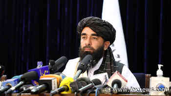 Afghanistan: Taliban arrests professor who criticized senior official