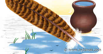 What We’re Looking Forward to This Year