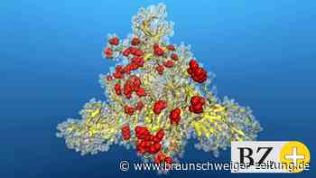 Studie: Booster erhöht Antikörperzahl teils um das Zehnfache